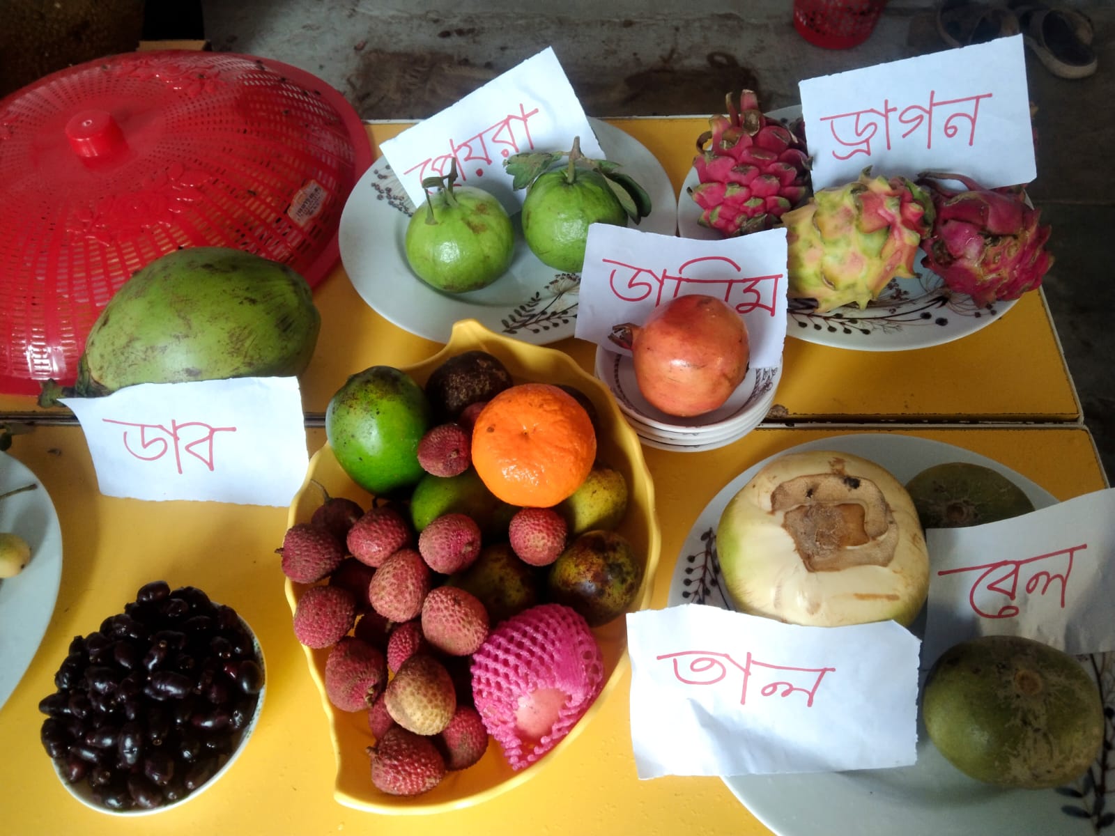 ঈদ পুনর্মিলনী ও ফল উৎসব