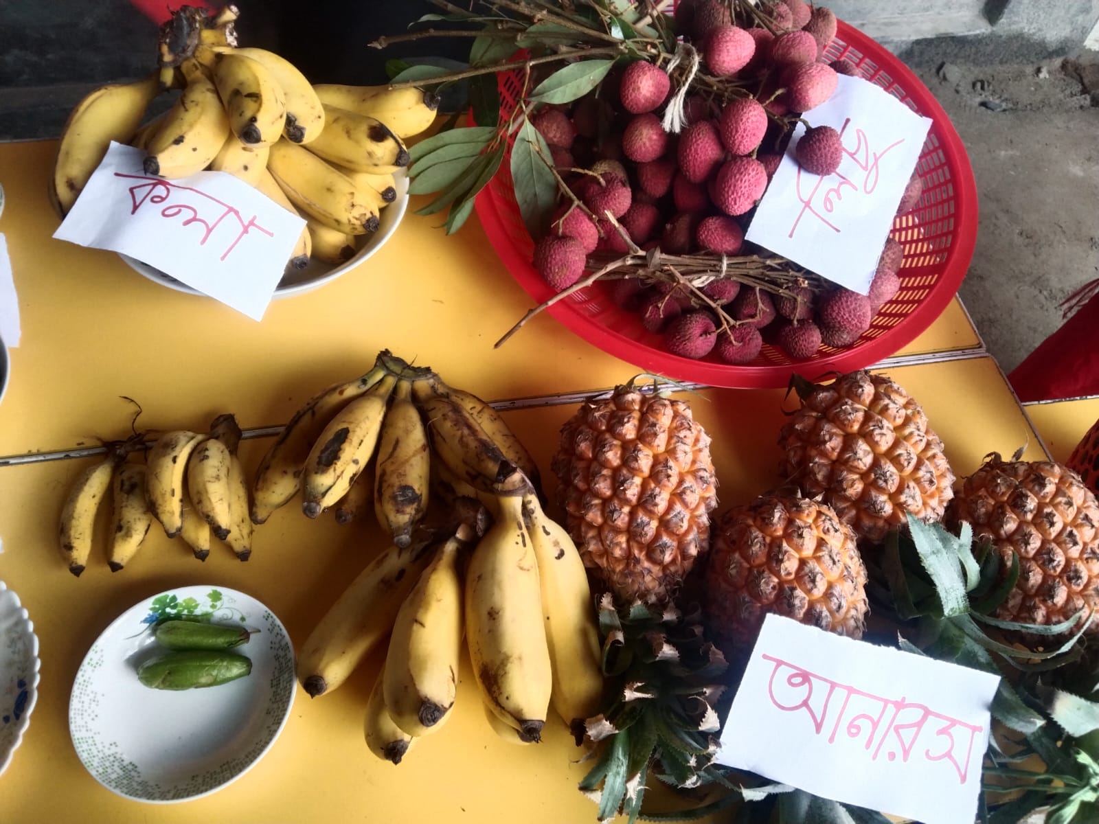 ঈদ পুনর্মিলনী ও ফল উৎসব