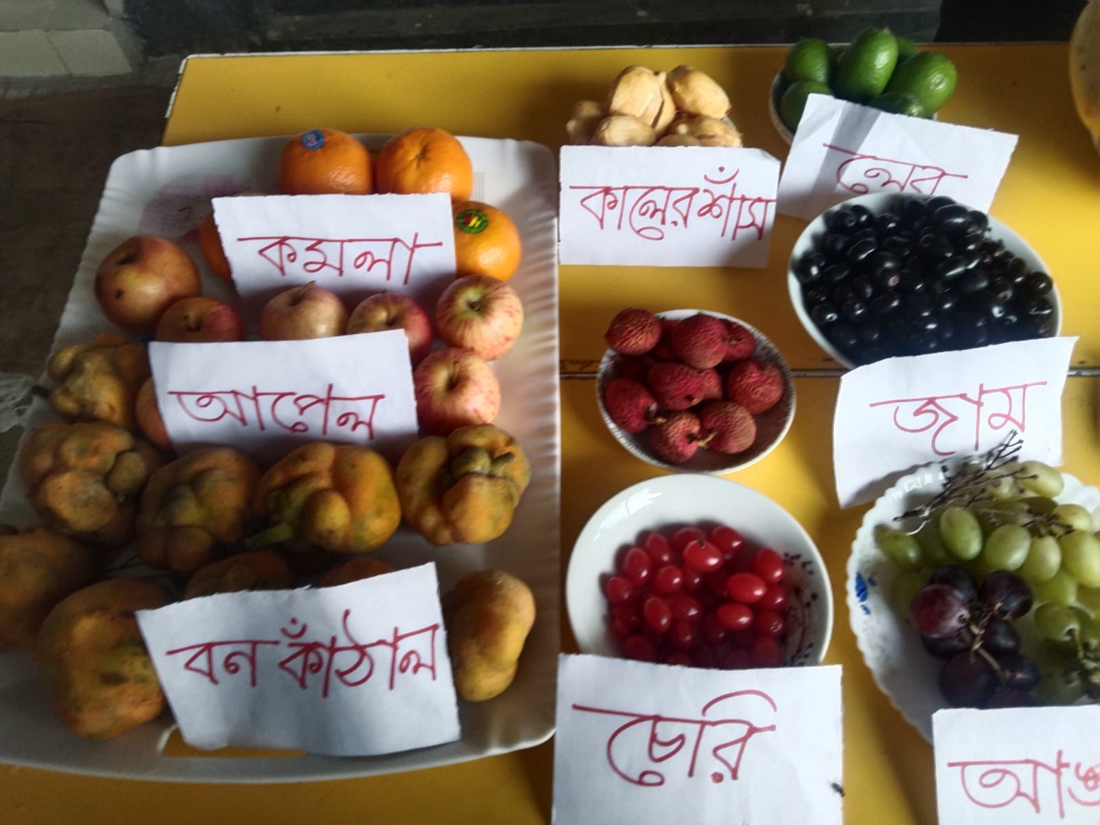 ঈদ পুনর্মিলনী ও ফল উৎসব