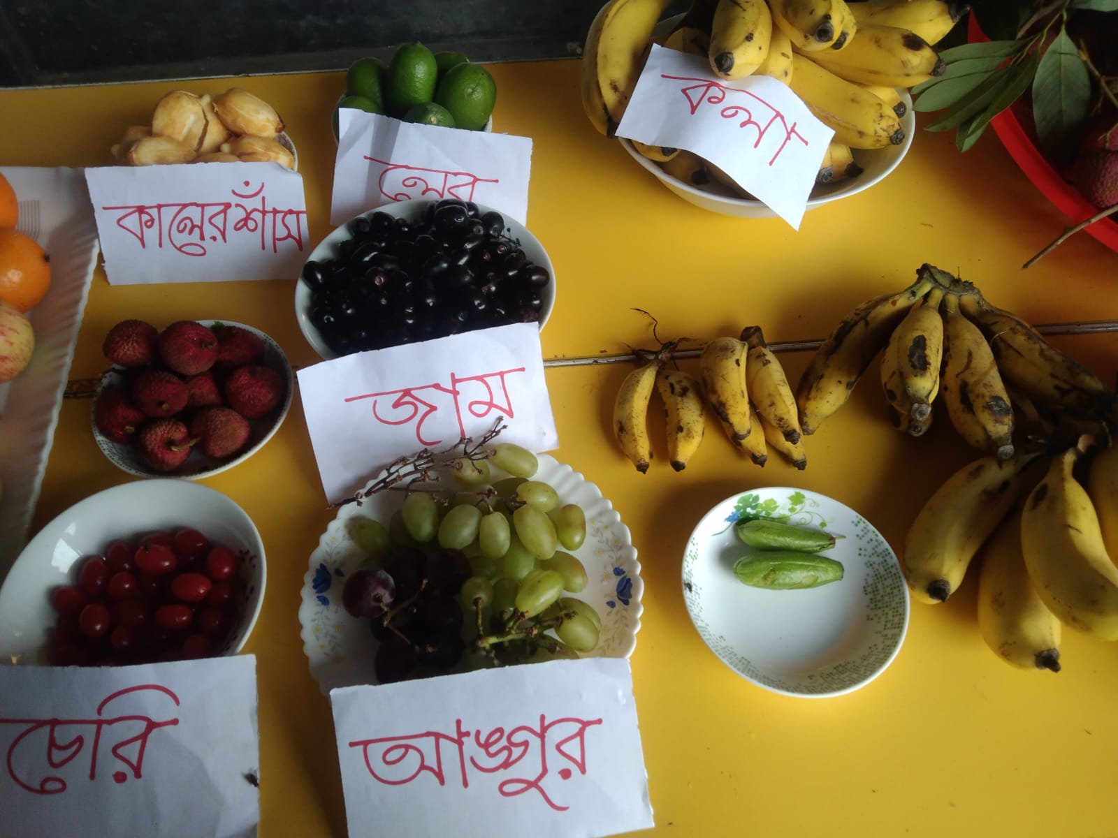 ঈদ পুনর্মিলনী ও ফল উৎসব